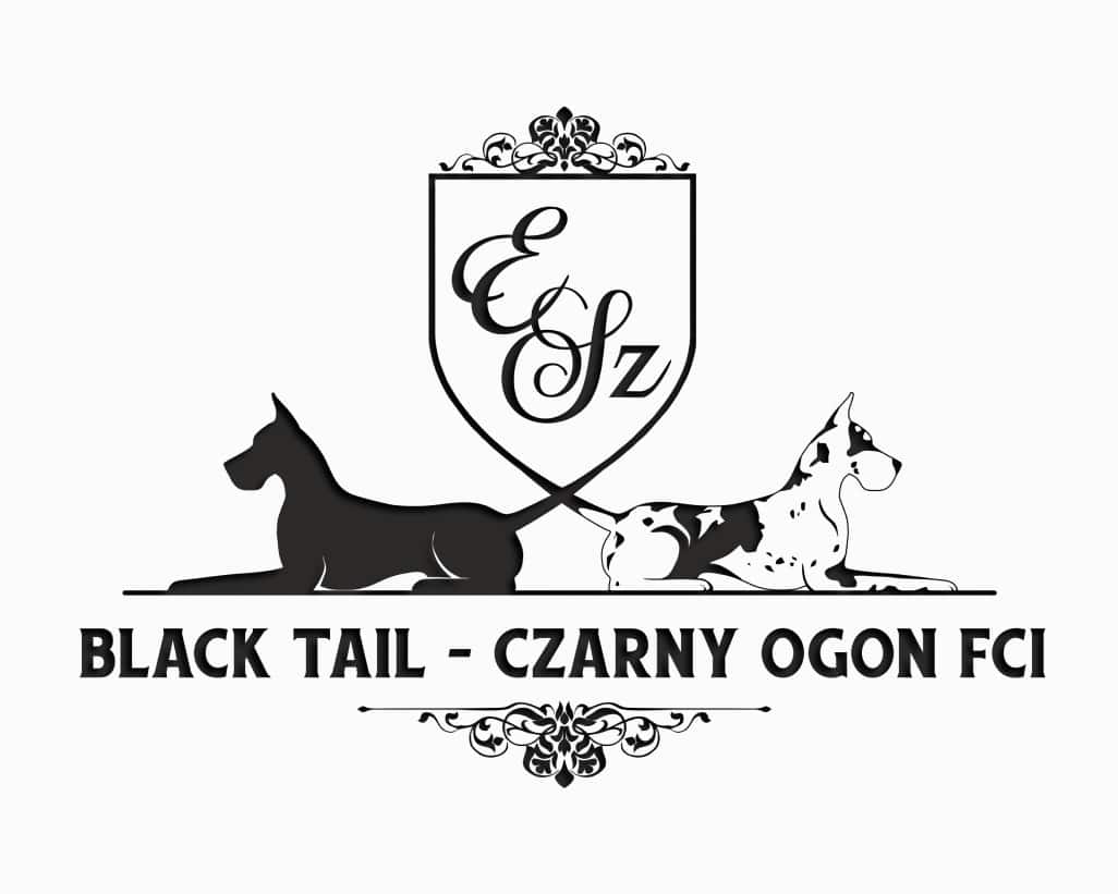 Black Tail – Czarny Ogon FCI