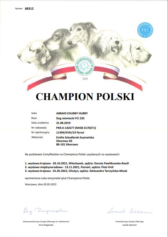 Read more about the article ABBAIO – Champion Polski