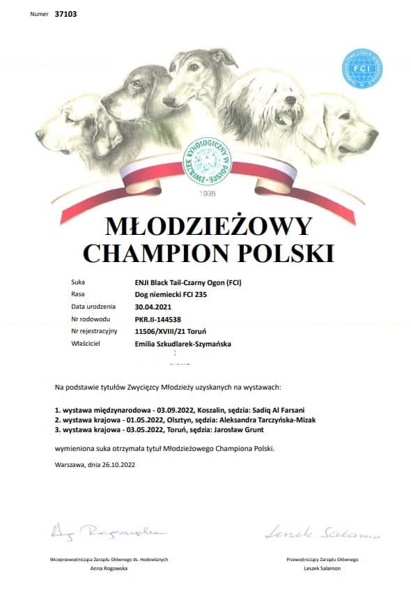 Read more about the article ENJI – Młodzieżowy Champion Polski