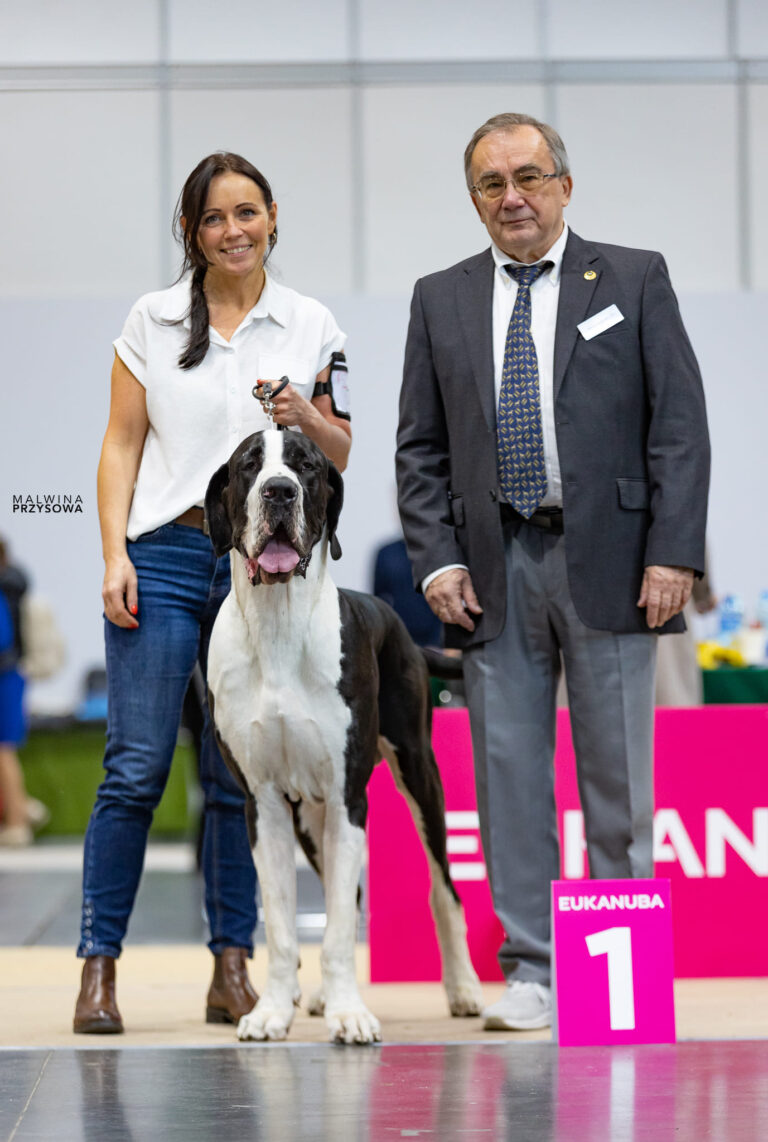 Read more about the article International Dog Show Poznań
