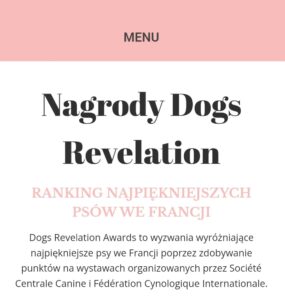 Read more about the article Córka ABBAIO Chubby Hubby – 7 miejsce w TOP DOG AWARD