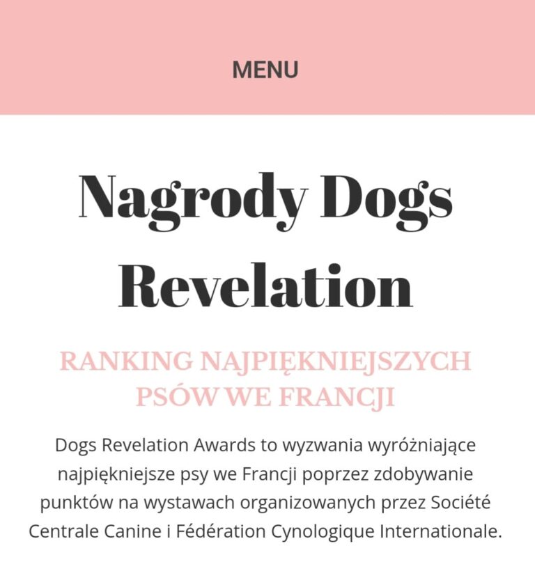 Read more about the article Córka ABBAIO Chubby Hubby – 7 miejsce w TOP DOG AWARD