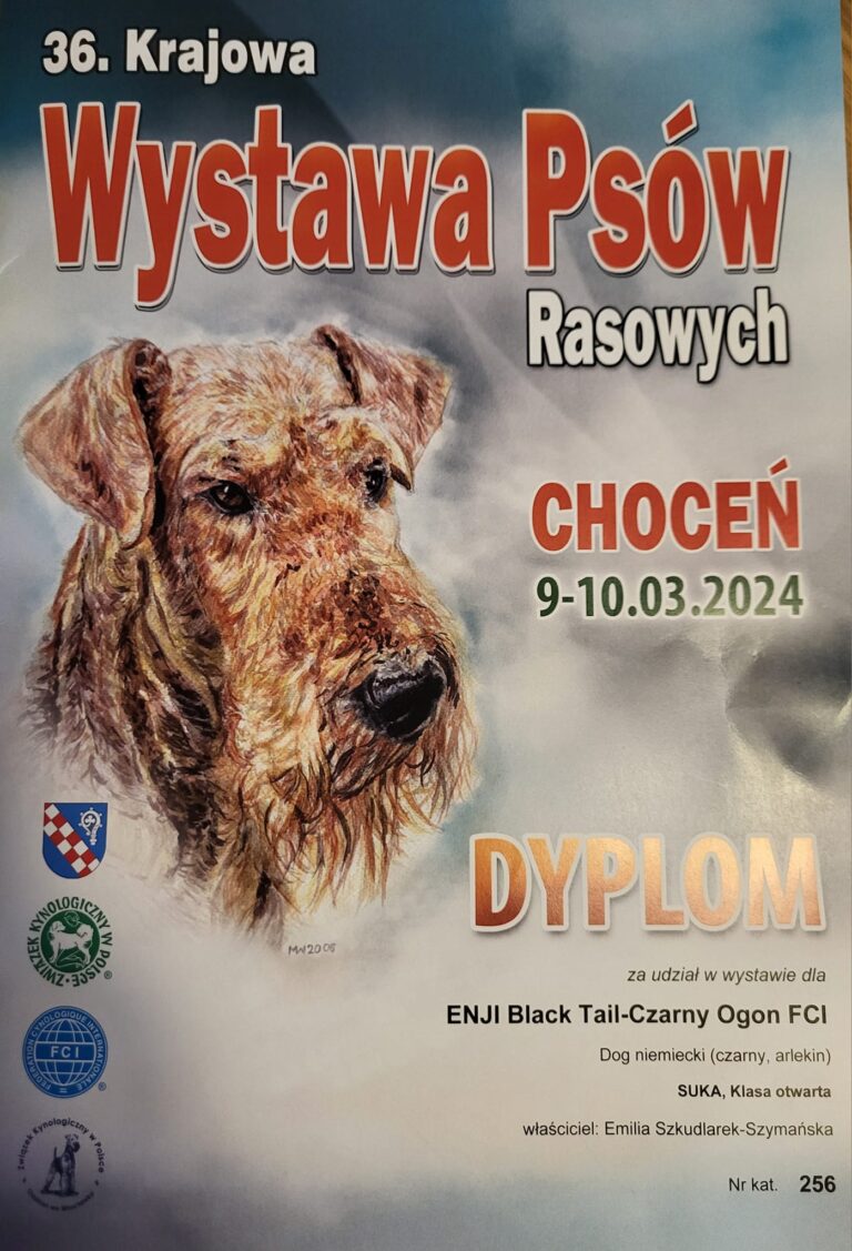 Read more about the article 36. Krajowa Wystawa Psów Rasowych CHOCEŃ