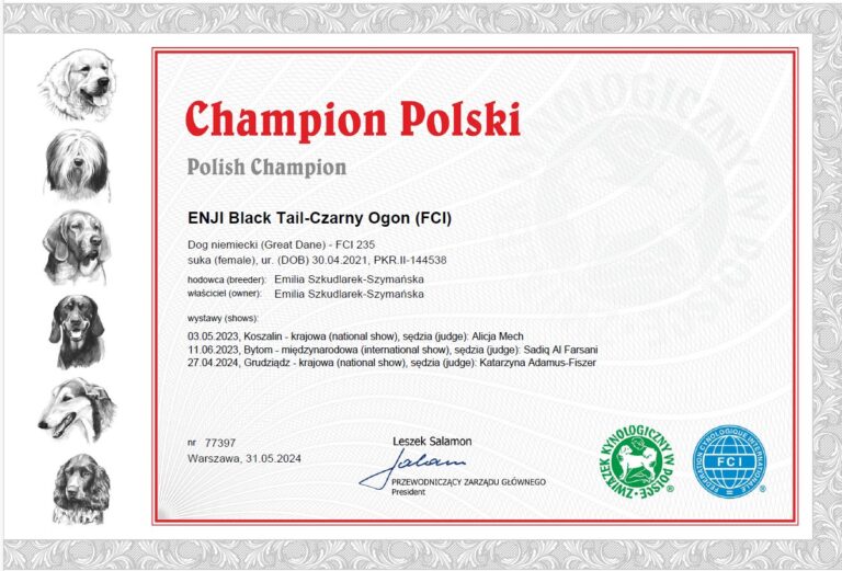 Read more about the article ENJI – Champion Polski
