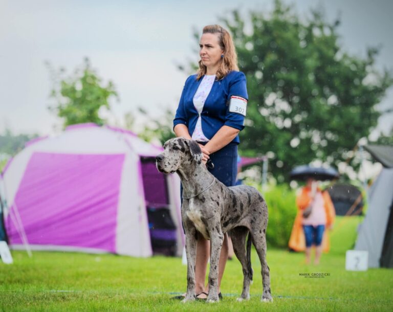 Read more about the article XXXIX Międzynarodowa Wystawa Psów Rasowych DUO CACIB SOPOT