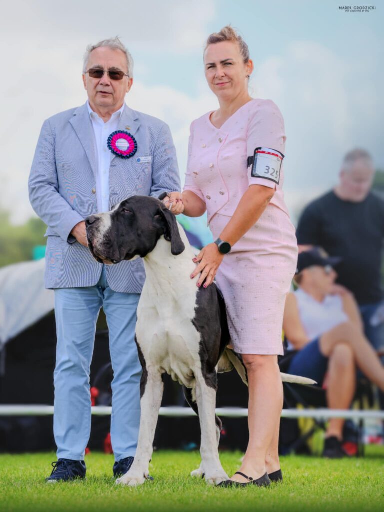 Read more about the article Międzynarodowa Wystawa Psów Rasowych (CACIB) – Moszczenica 17.08.2025
