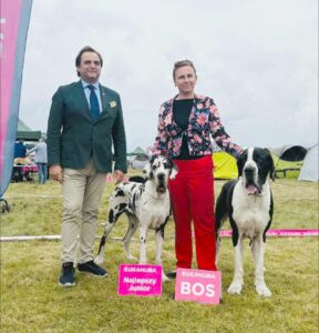 Read more about the article VI Międzynarodowa Wystawa Psów Rasowych Koszalin – Czaplinek, 6.09.2025 r.