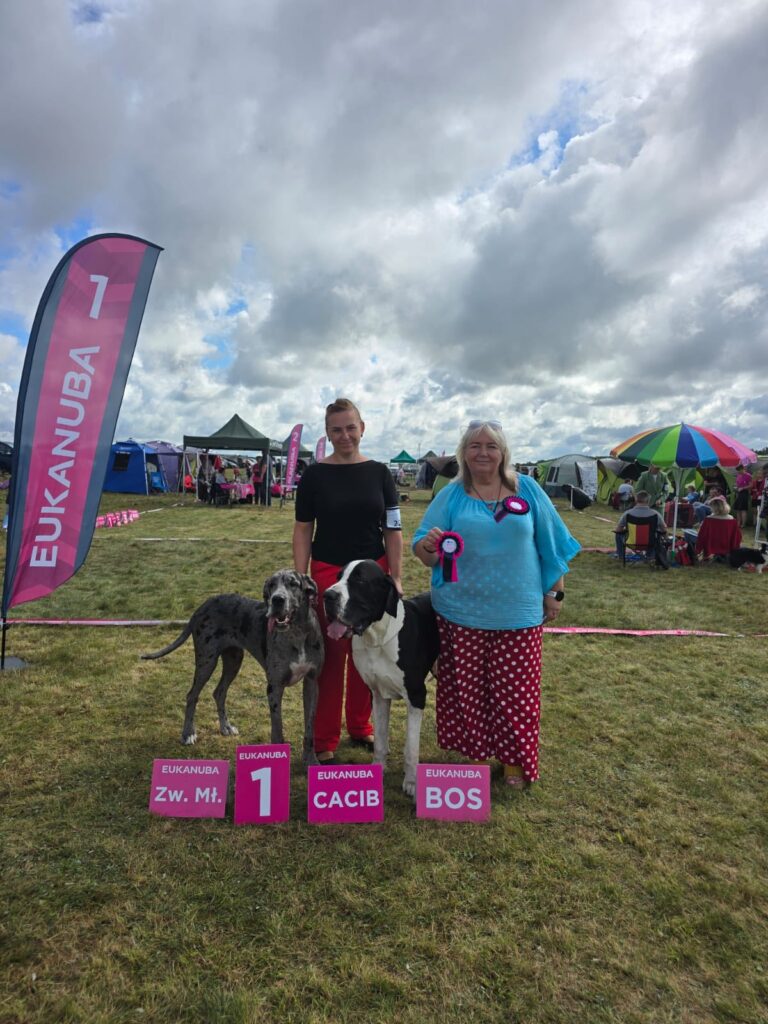 Read more about the article VII Międzynarodowa Wystawa Psów Rasowych Koszalin – Czaplinek, 7.09.2025 r. (CACIB)