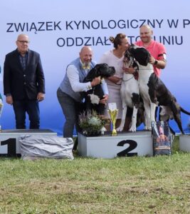 Read more about the article 58. Toruńska Wystawa Psów Rasowych